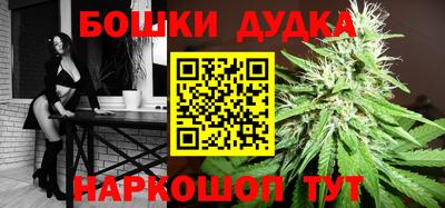 стафф Донецк