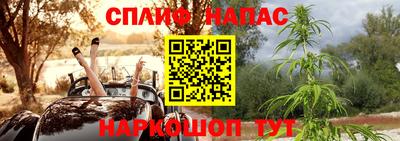 стафф Донецк